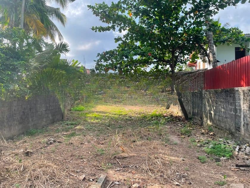 19 P Land for Sale in Thalahena