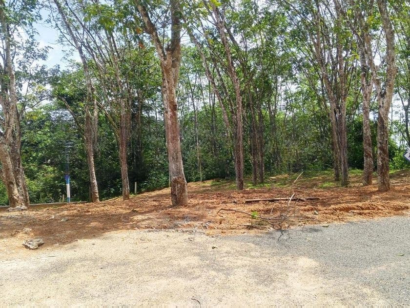 Calm Lands Plots in Near Ahangama
