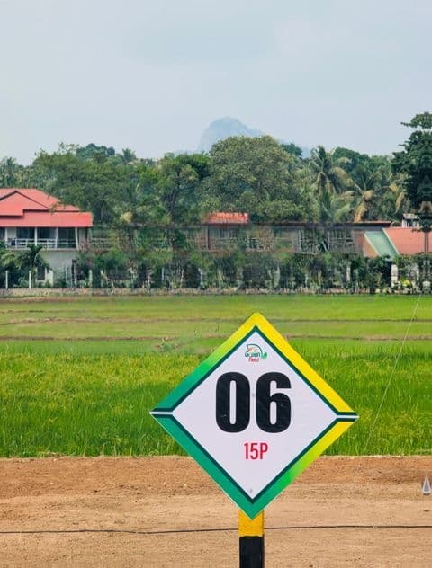 කුරුණෑගල - පුත්තලම පැල්ලන්දෙනිය සුන්දර වෙල්යායකට මුහුණලා බිම් කොටස්