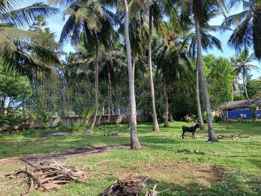 காணி விற்பனை Jaffna