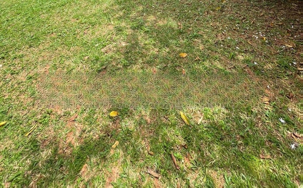 Colombo 7 : 31.6 perches Commercial Land for Sale