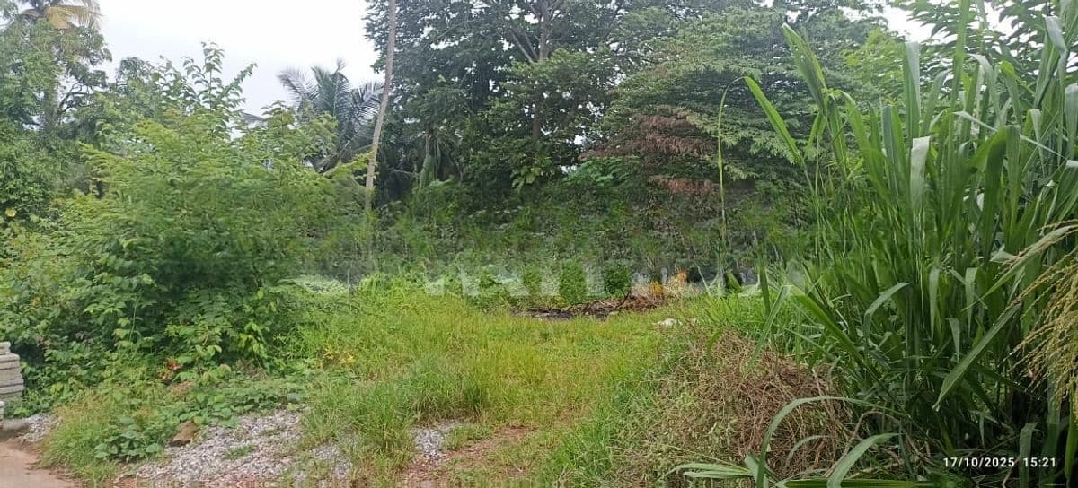 Sale Pelawatta, Valuable Residential Land (NZMS3037)