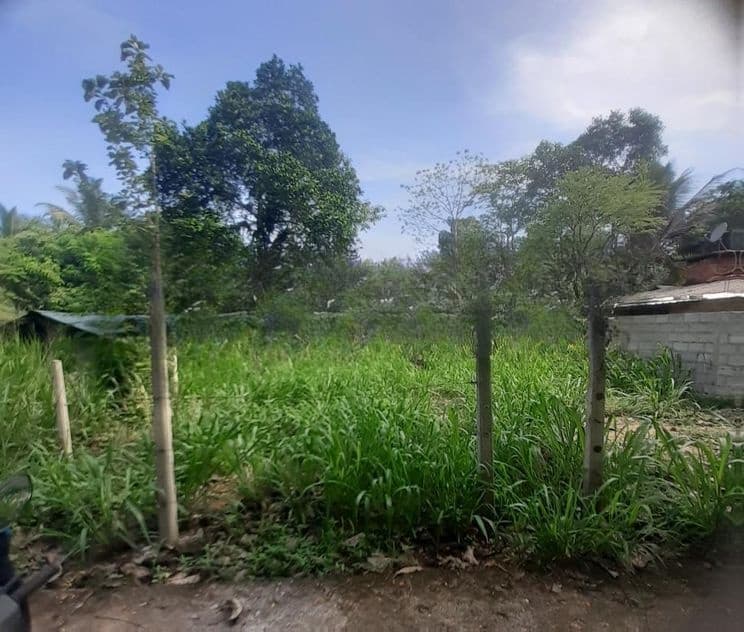 Land For Sale Pothuhera 32 Perches