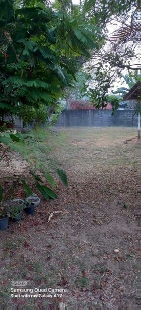 any proposed land for sale handala main road facing wattala