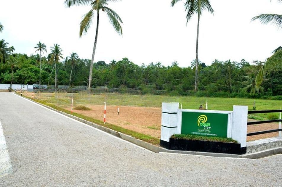 Land for Sale - Naiwala
