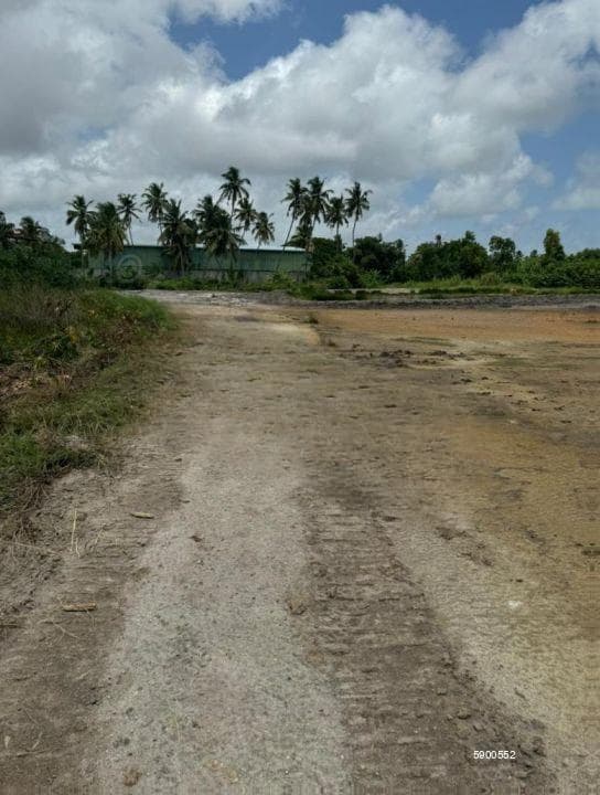 380 Perchers Land For Sale in Seeduwa (SSPL-406)