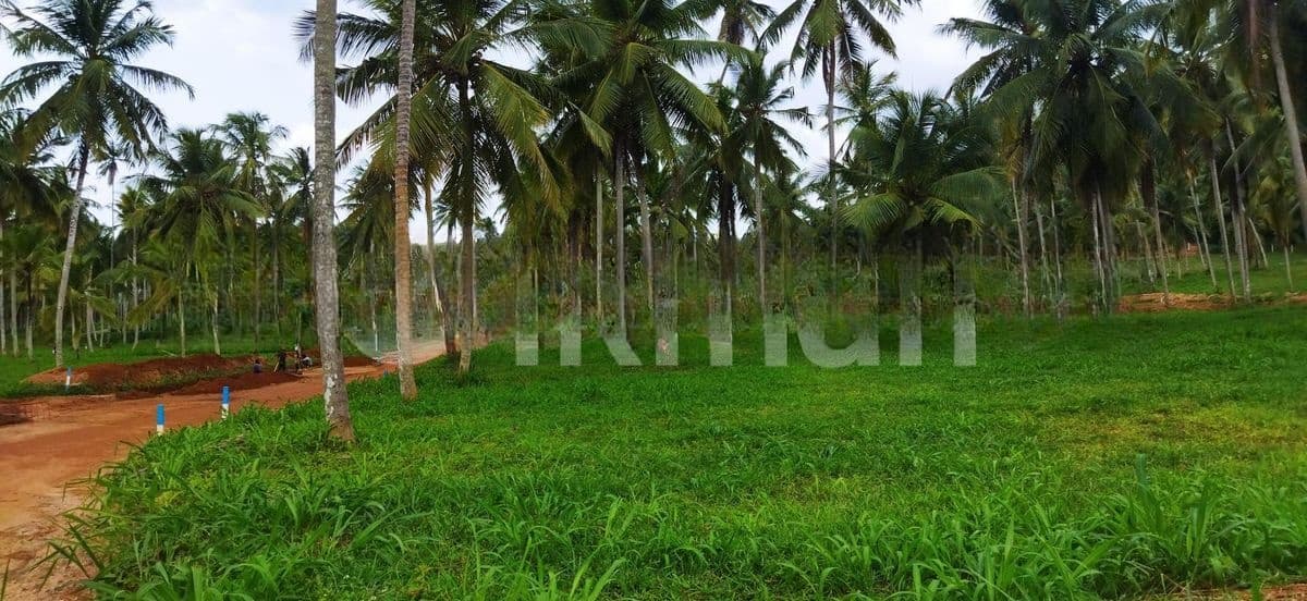 මීගමු පාරට ලගින් නාරම්මල ඉඩම