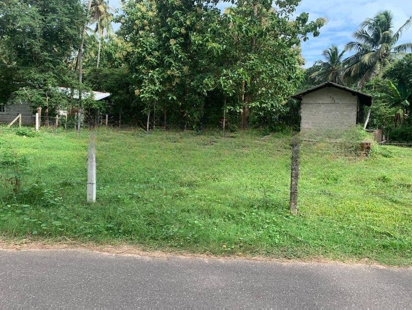 24.9 Perch Land for Sale in Demanhandiya Negombo