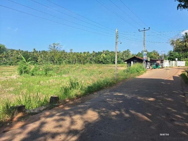 Paddy Land for Sale – Bataleeya Junction, Kadjugama, close to Kandy Road