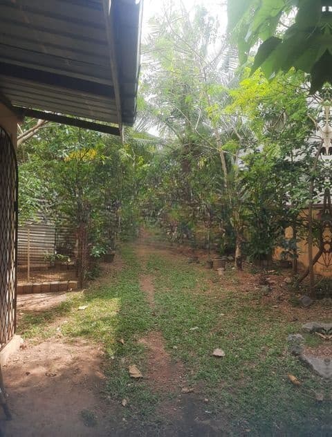 Land For Sale In Raththanapitiya