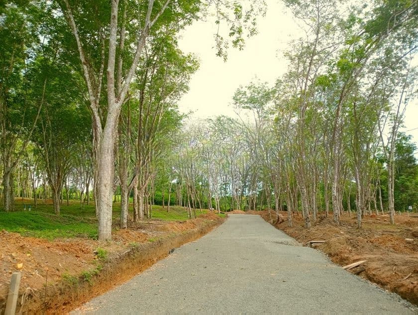 අහංගම - ඉඩම්
