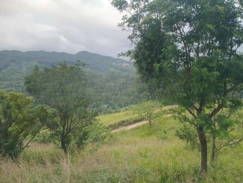 Land for Sale Nillamba
