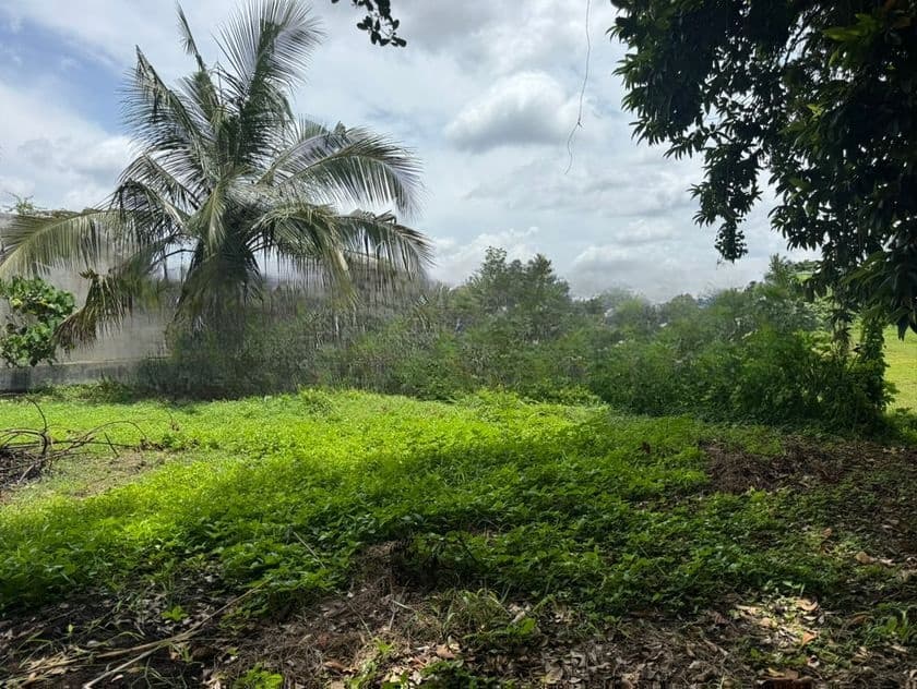 Super Land for Sale Thalahena Ds1225