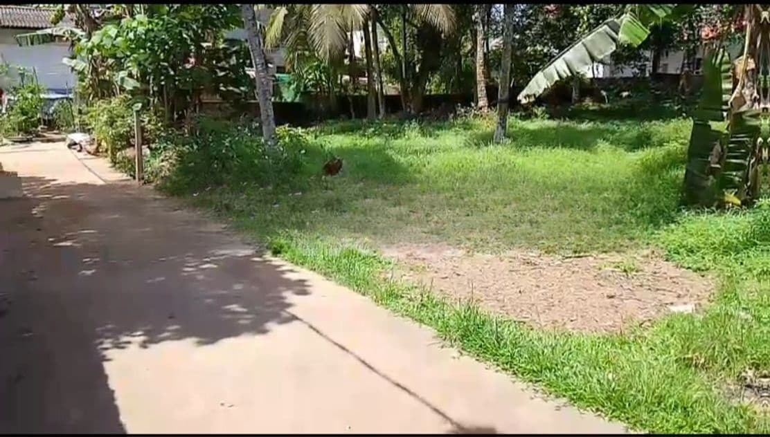 Commercial Land for Sale in Homagama (SP854)