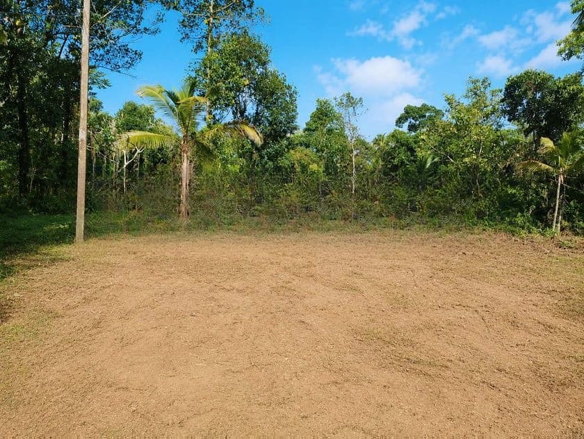පන්නල පර්චස් 164ක වටිනා සහ මනාව පිහිටි ඉඩමක් වහාම විකිණීමට