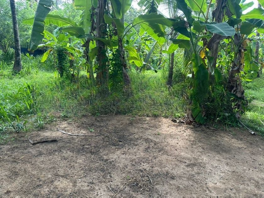 Land for Sale Kuliyapitiya