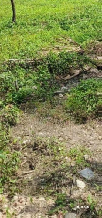 11 Acres Negombo / Katana , Kadirana good solid land for Sale