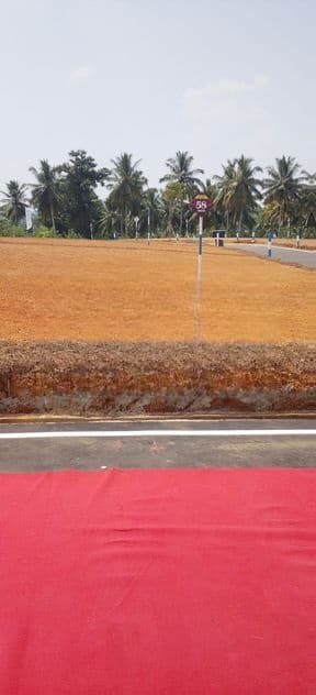 තලගල වටිනා ඉඩමක්