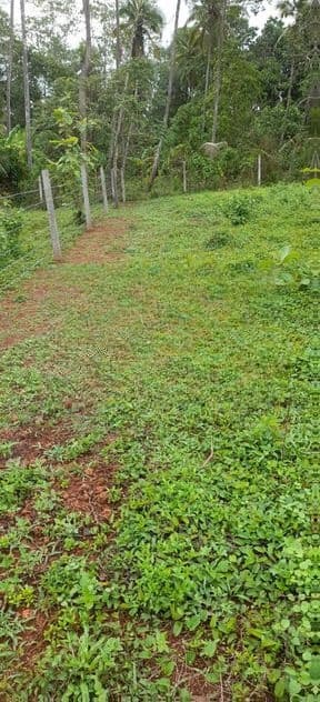 38 Perch Land for Sale Wasana Uyana Seeduwa