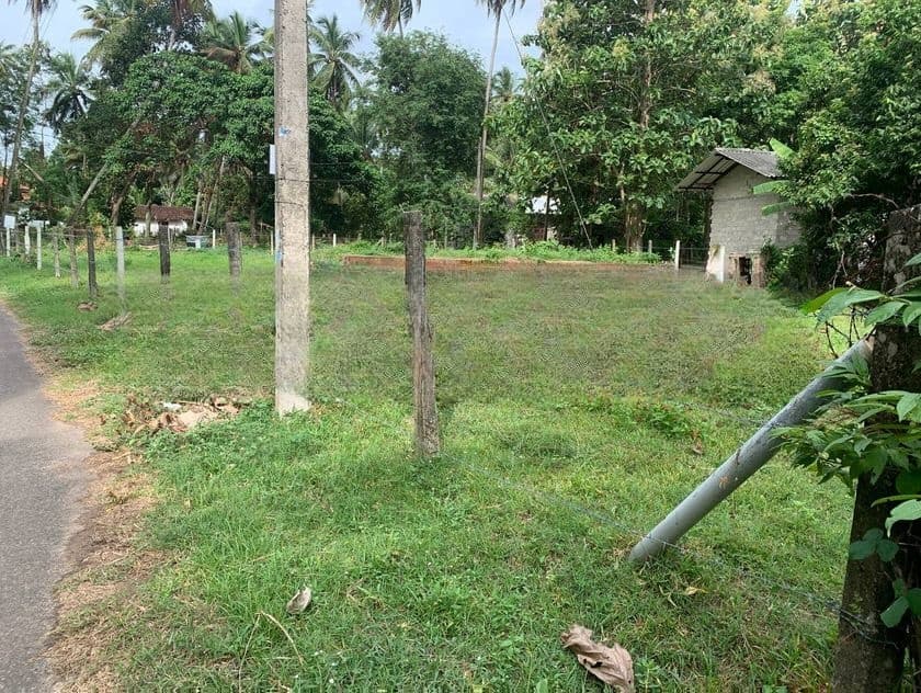 Land for Sale in Negombo - 24.9 Perch