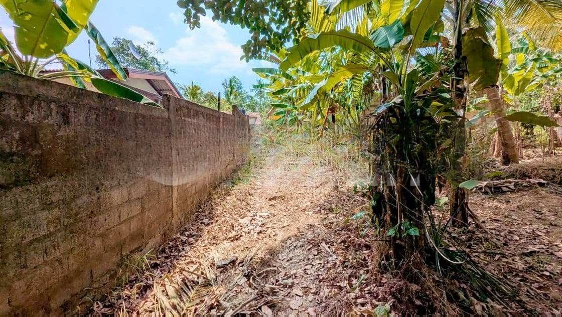 Land for Sale in Nittambuwa