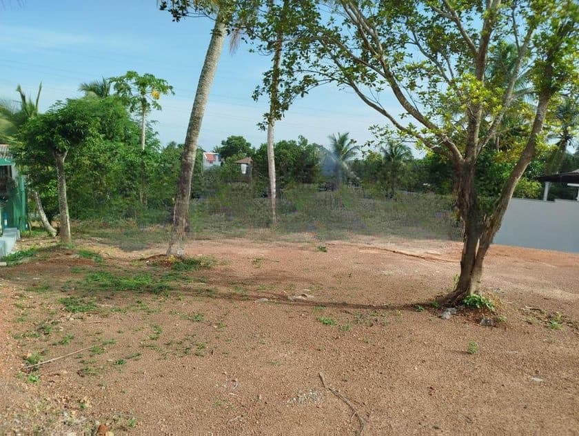 රාජගිරිය හල්ගහදේණිය පාරෙන් බිම් කොටස් විකිණීමට