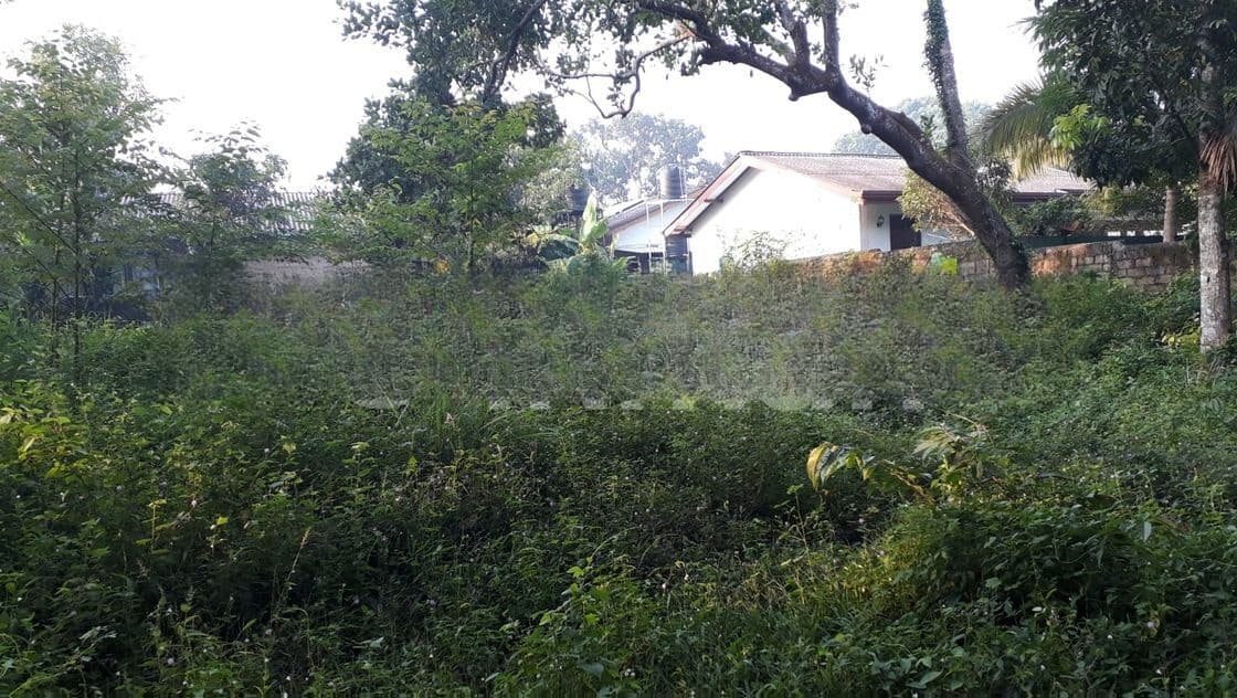 40.3P Land for sale in Yagodamulla, Kotugoda (SL 13185)