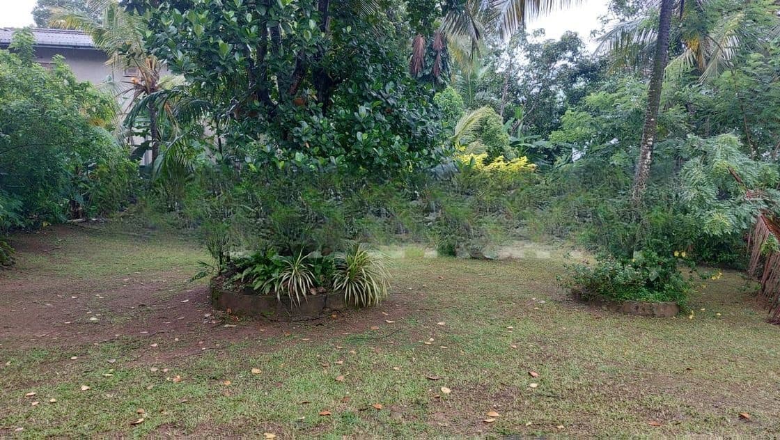 House for Rent in Kiribathgoda