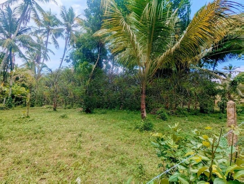 ගම්පහ / පර්චස් 38 ම