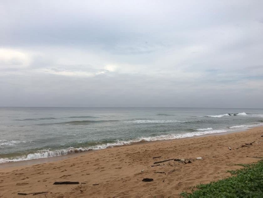 (IP319) Beach Facing 58 P Land Sale At Galle Road Bentota