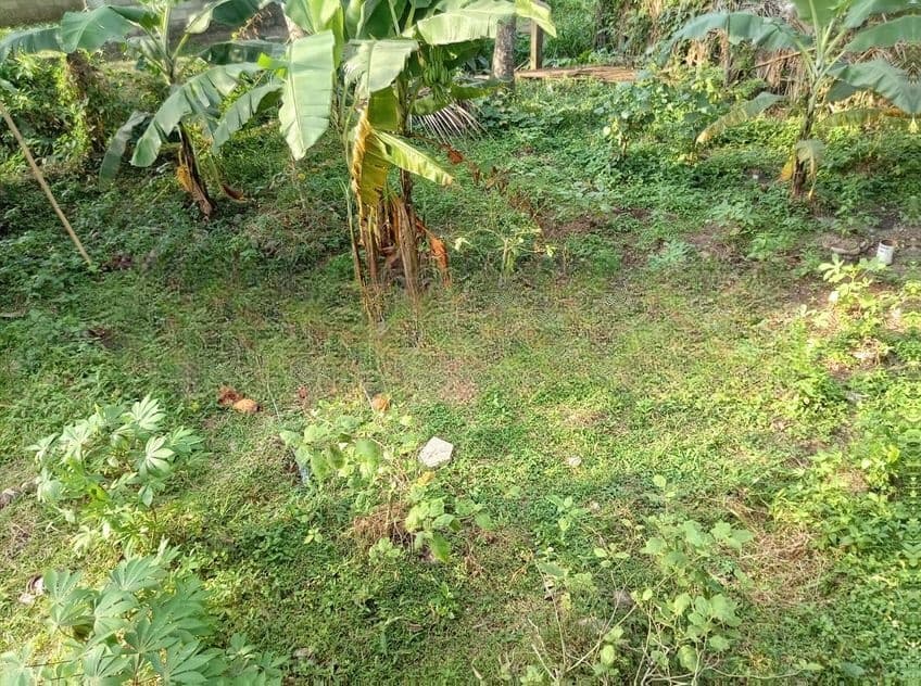 Land for Sale Kadawatha