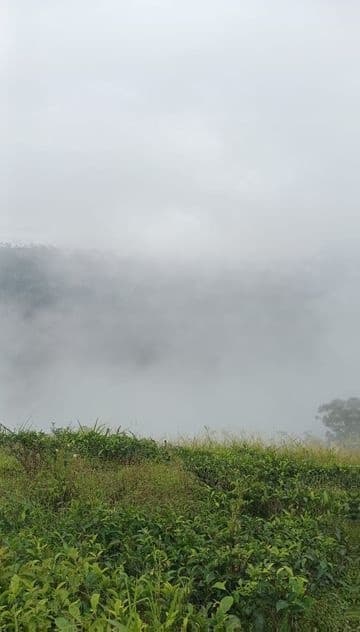 View Point Land Nuwaraeliya Road