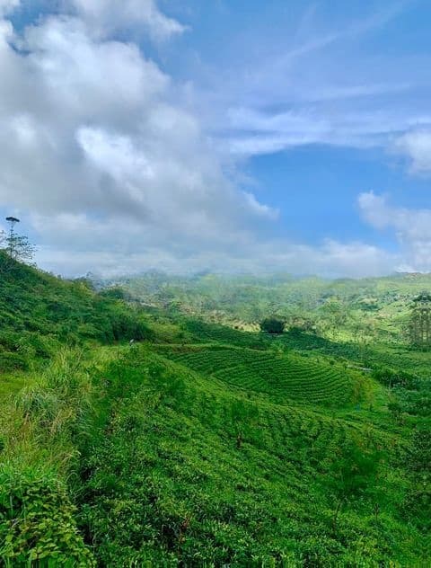 වටවල ස්වාභාවික ඉඩම් කැබලි කිහිපයක්