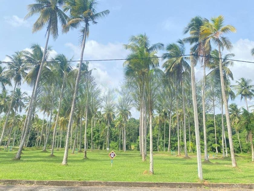 Land in Minuwangoda Katunayake Road