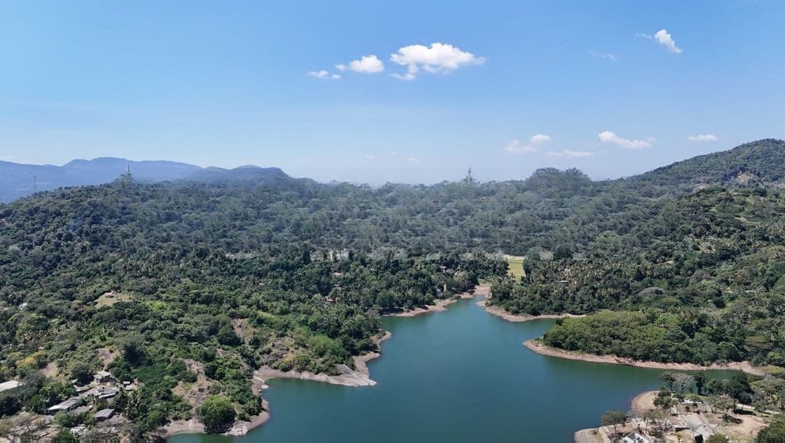 Land for sale in Digana