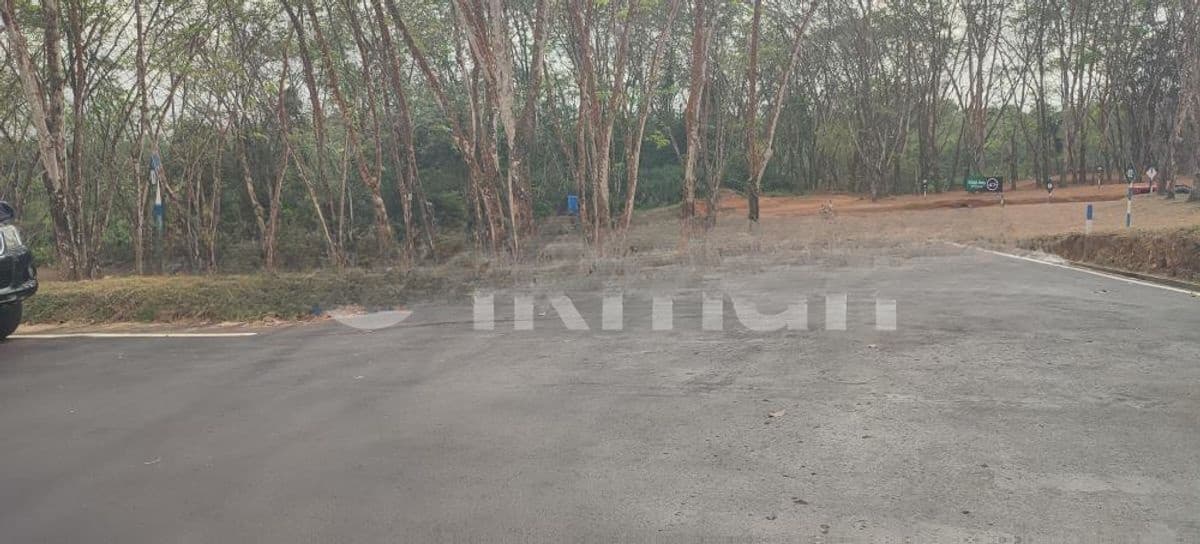Homagama Thalagala Land for Sale in Beruketiya