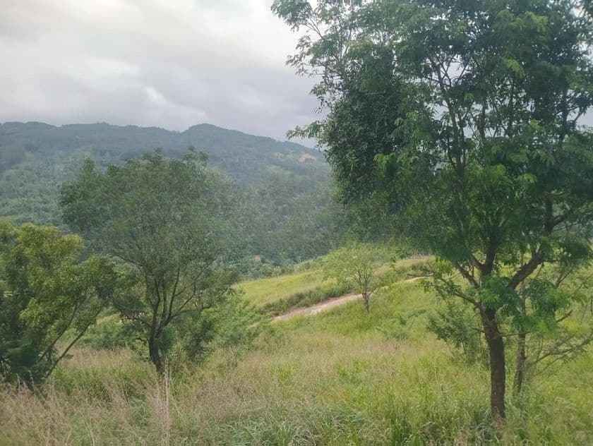 Land For Sale Galaha