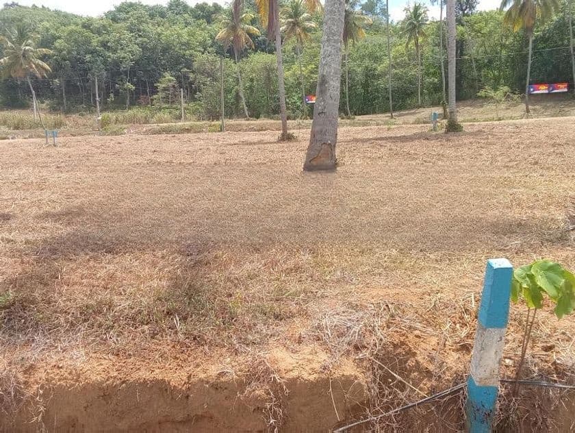 සියලු අනුමැතියන් සහිත නේවාසික බිම් කොටස් නාරම්මල