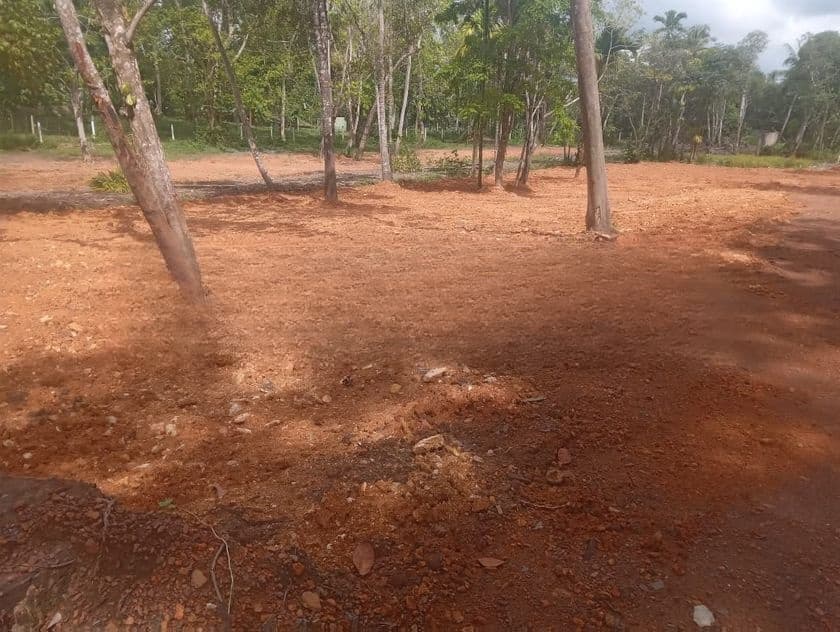 කොග්ගල වැව ලඟින් ඉඩම්
