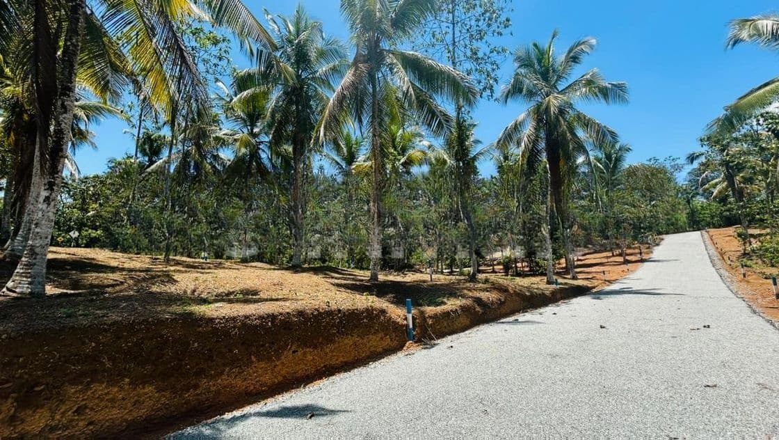 නේවාසික බිම් කොටස් විකිණීම පිලියන්දල