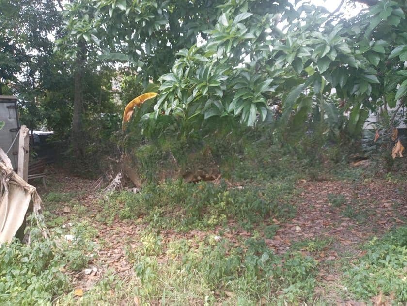 Valuable Land for Sale Nugegoda