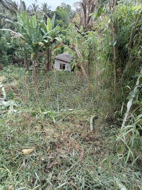 15 Perch Land for Sale in Katugastota