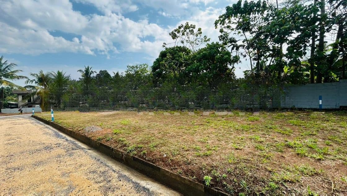 නේවාසික බිම් කොටස් විකිණීම හෝමාගම