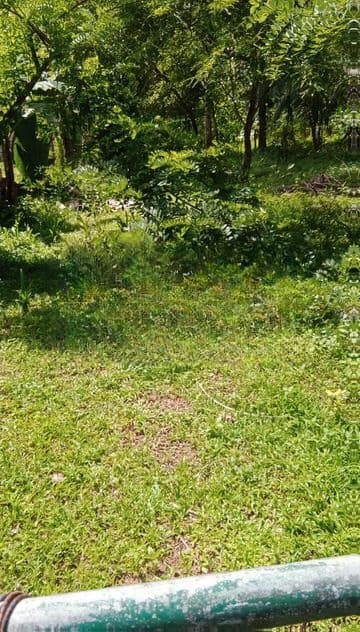 15 Perch Land for Sale in Kadawala , Katana