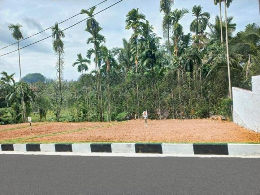 Best Luxury Land for Sale in Watareka