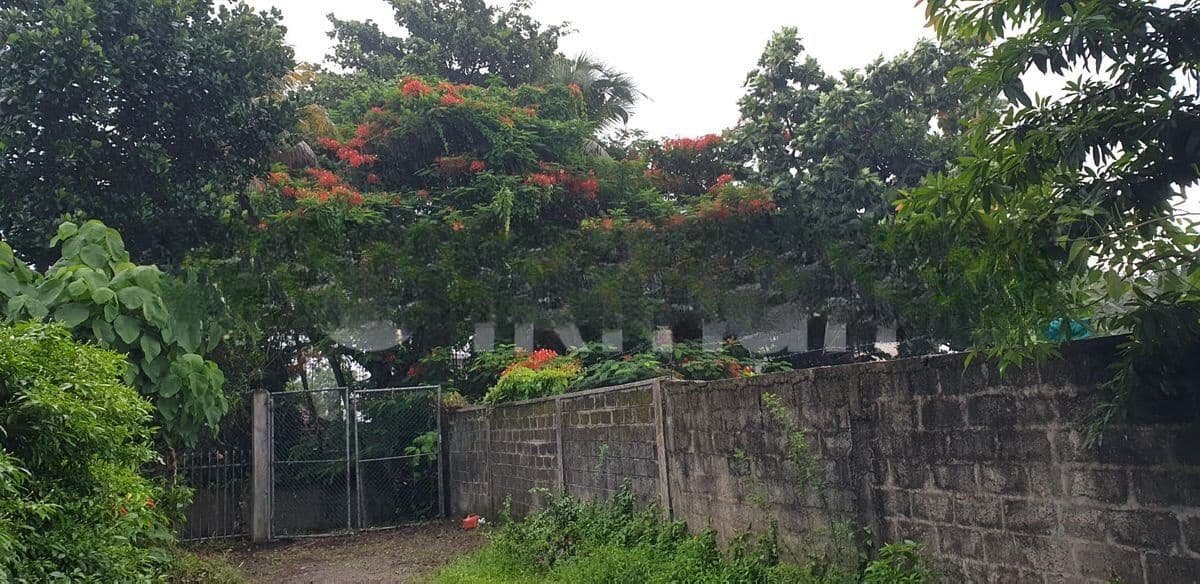 Land for Sale in Colombo 06