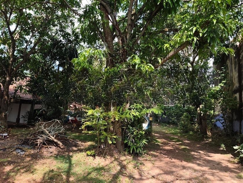 Land for Sale in Homagama Ls694