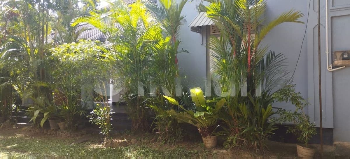 Boarding Room For Rent Girls Battaramulla