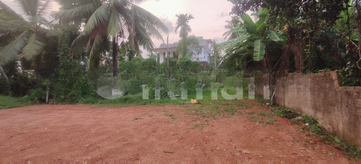 Land for Sale Homagema