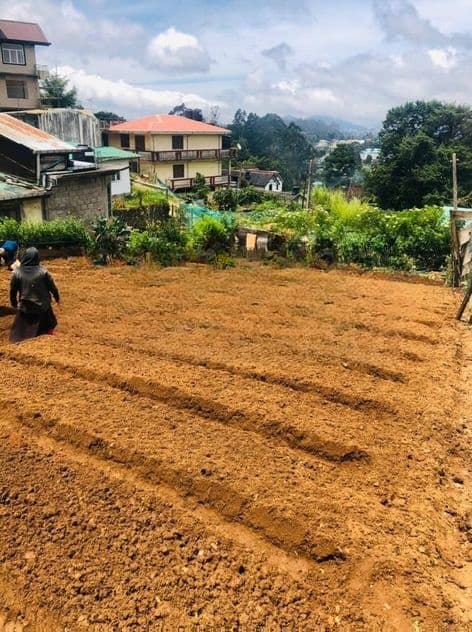 18 Perch Land for Sale in Nuwara Eliya City Limit